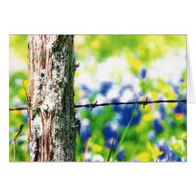 Arame farpado de Texas com Bluebonnets Cartão