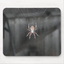 Aranha assustador mousepads