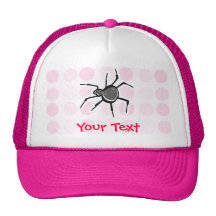 Aranha bonito bone