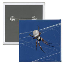 Aranha dourada da esfera botons