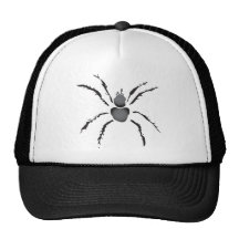 Aranha peludo bone