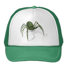Aranha rara da melancia bones
