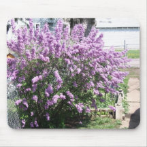 arbusto de lilac mousepads