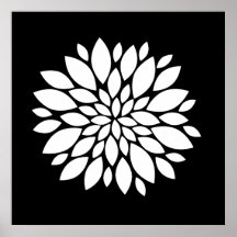Arte bonito das pétalas da flor branca no preto posteres