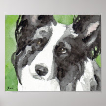 Arte de border collie pôsteres