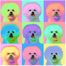 Arte Op - Bichon Frise Escultura De Foto
