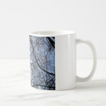 Árvore Caneca