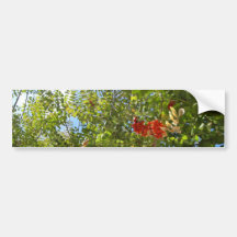 Árvore com flores vermelhas adesivos