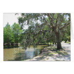 Árvore da albufeira, ilha de Avery, Louisiana Cartões