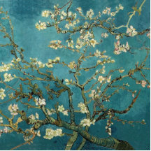 Árvore de amêndoa de florescência - Van Gogh Escultura Fotos