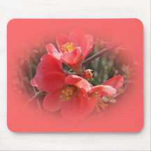 Árvore de marmelo de florescência mousepad