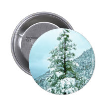 Árvores cobertos de neve da paisagem da montanha d botons