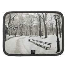 Árvores do inverno cobertas na neve agendas