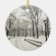 Árvores do inverno cobertas na neve ornamentos