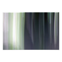 Árvores e luz escuras impressão de fotos