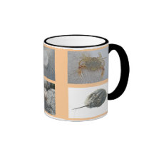 As criaturas na praia remendam a caneca