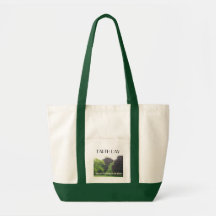As Dia-Árvores da terra são os pulmões do planeta Bolsas