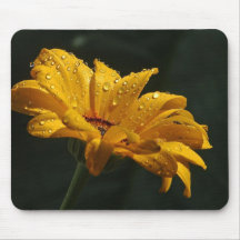 As flores aperfeiçoam a mouse pads 43 do computado