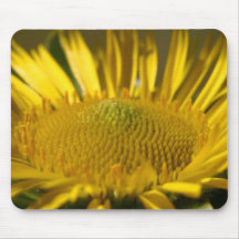 As flores aperfeiçoam a mouse pads 70 do computado