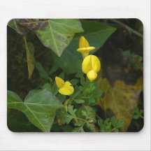 As flores aperfeiçoam a mouse pads 79 do computado