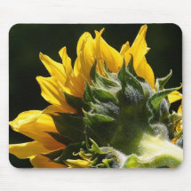 As flores aperfeiçoam a mouse pads 90 do computado