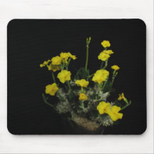 As flores aperfeiçoam a mouse pads do computador