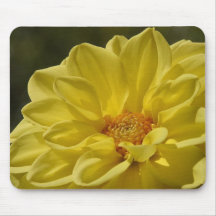 As flores aperfeiçoam a mouse pads do computador