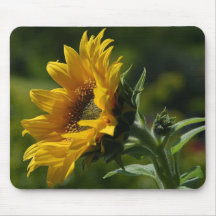 As flores aperfeiçoam a mouse pads do computador