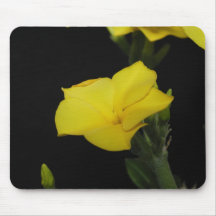 As flores aperfeiçoam a mouse pads do computador