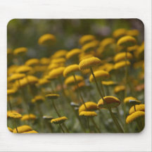 As flores aperfeiçoam a mouse pads do computador