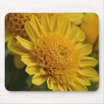 As flores aperfeiçoam a mouse pads do computador