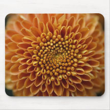 As flores aperfeiçoam a mouse pads do computador