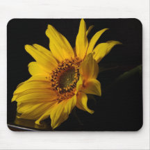 As flores aperfeiçoam a mouse pads do computador,