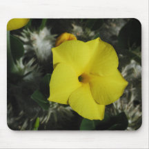 As flores aperfeiçoam a mouse pads do computador