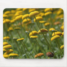 As flores aperfeiçoam a mouse pads do computador