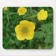 As flores aperfeiçoam a mouse pads do computador