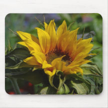 As flores aperfeiçoam a mouse pads do computador