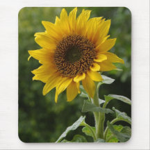 As flores aperfeiçoam a mouse pads do computador