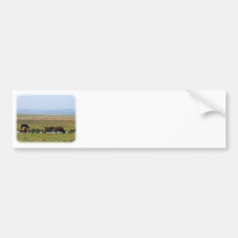 As montanhas acobardam 9T076D-012 Adesivos