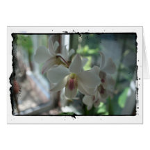 as orquídeas fecham-se acima do impressão fotográf cartao