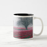 As tulipas vermelhas e cor-de-rosa cumprimentam o  canecas