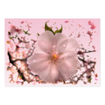 ATC da flor de cerejeira Cartões De Visita