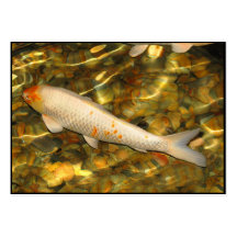 ATC de Koi Cartoes De Visitas