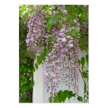 ATC do ~ das glicínias da lavanda Cartoes De Visitas