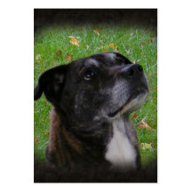ATC regular do ~ do cão Cartões De Visitas