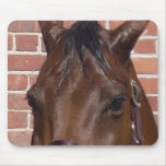 Através dos olhos de um cavalo mouse pad