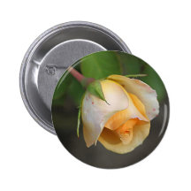 Aumentou Pins