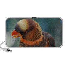 Auto-falante faladores do Portable de Lorikeet Caixinhas De Som Para Mp3