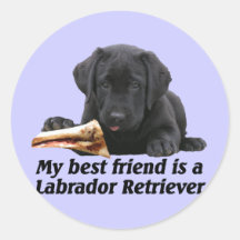 Autocolante “Labrador retriever “ Adesivo