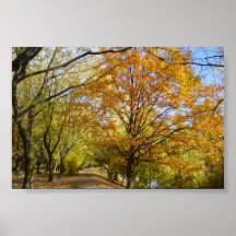 autum pôsteres
